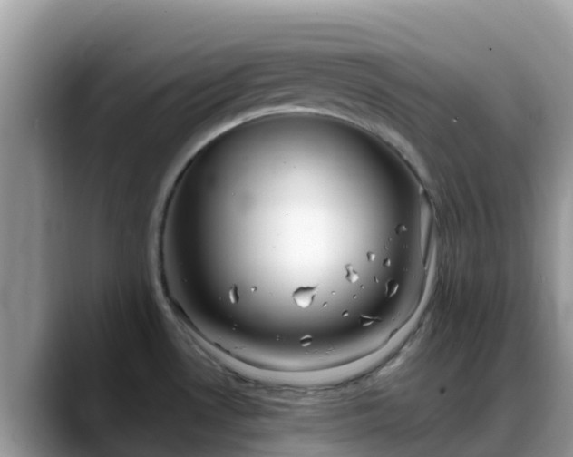 X0000088701530200706071529