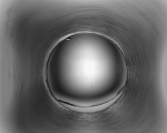 X0000088701531200706071529