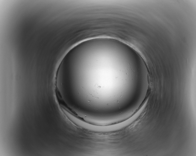 X0000088701532200706071529