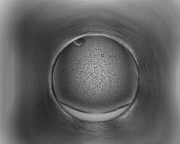 X0000088701533200706071529