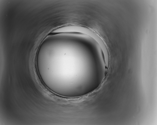 X0000088700001200706141439