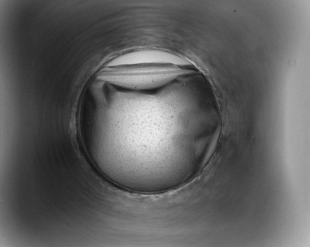 X0000088700002200706141439