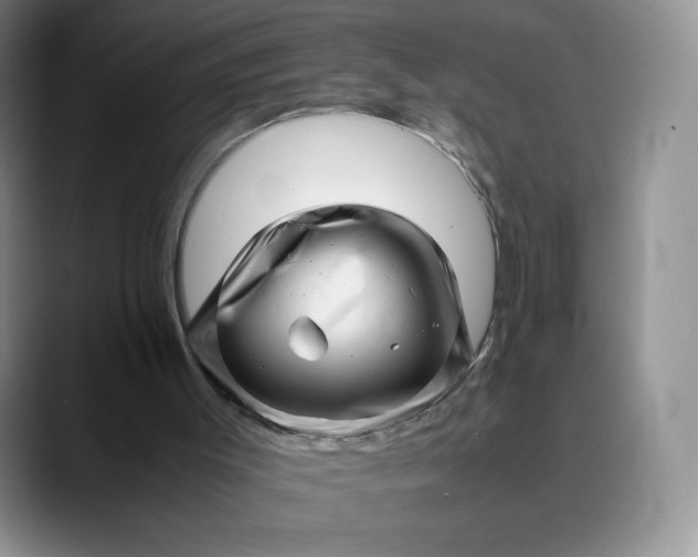 X0000088700003200706141439