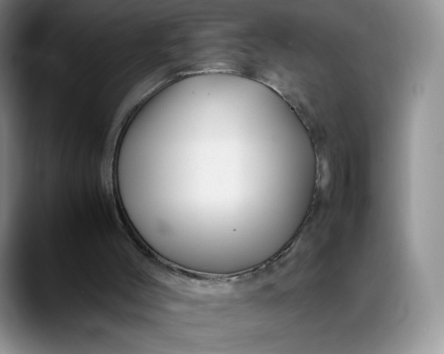 X0000088700004200706141439