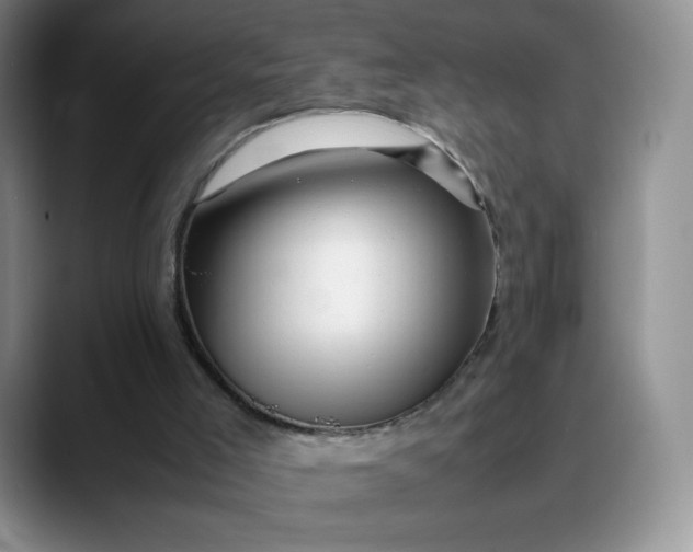 X0000088700005200706141439