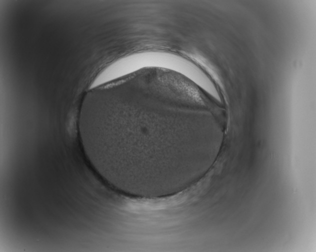 X0000088700009200706141438
