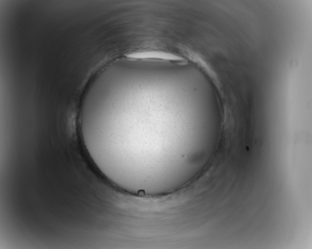 X0000088700010200706141438