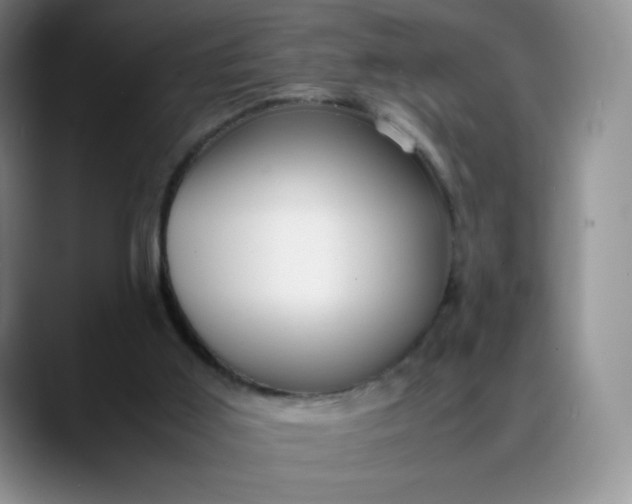 X0000088700011200706141438