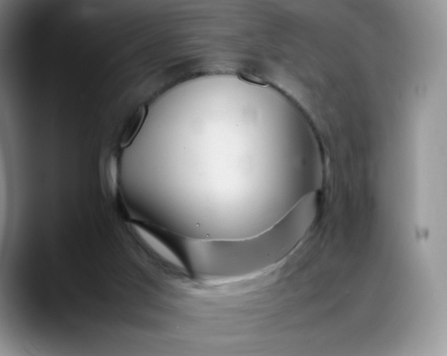X0000088700013200706141438