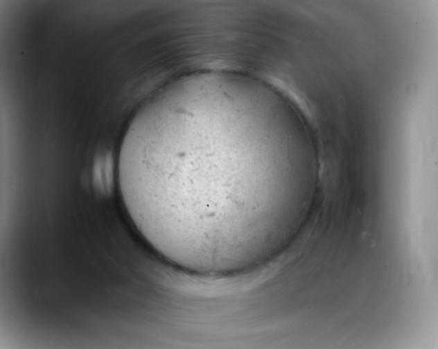 X0000088700014200706141438