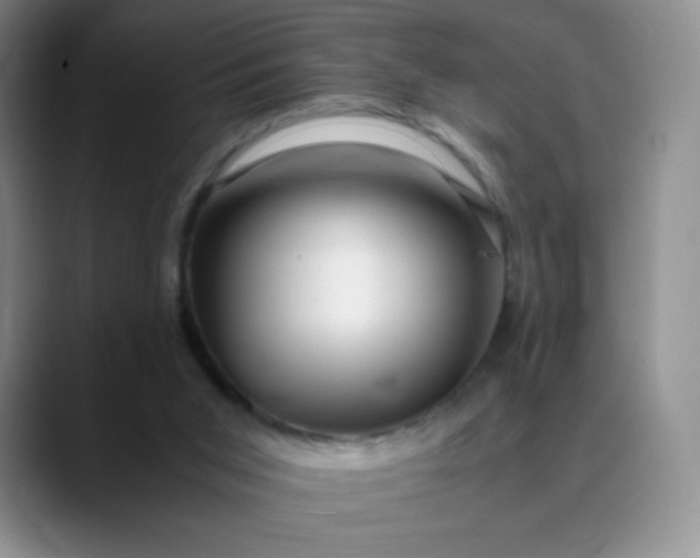 X0000088700015200706141438