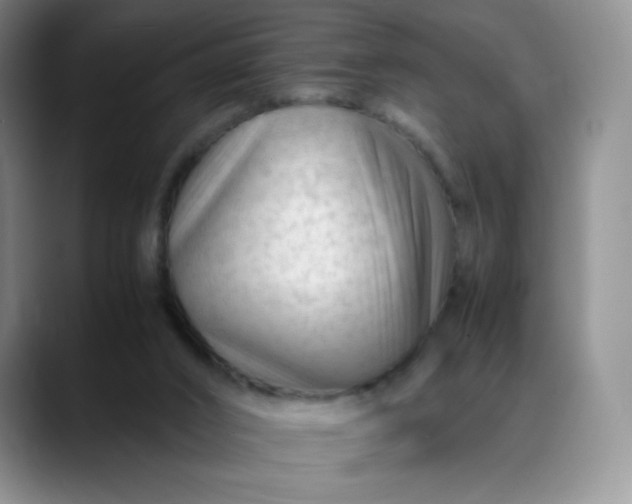X0000088700016200706141438