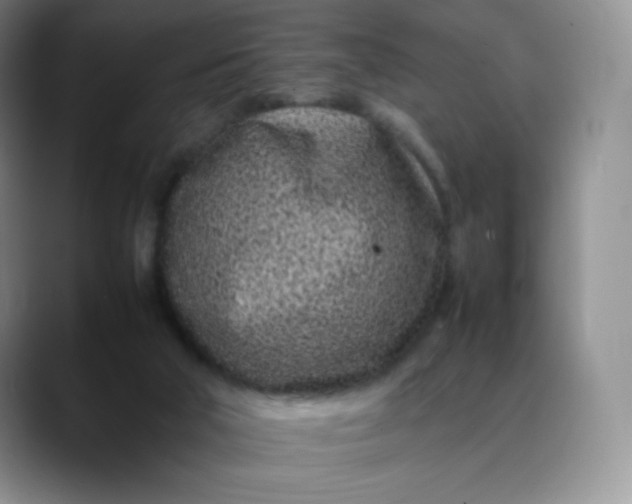 X0000088700018200706141438