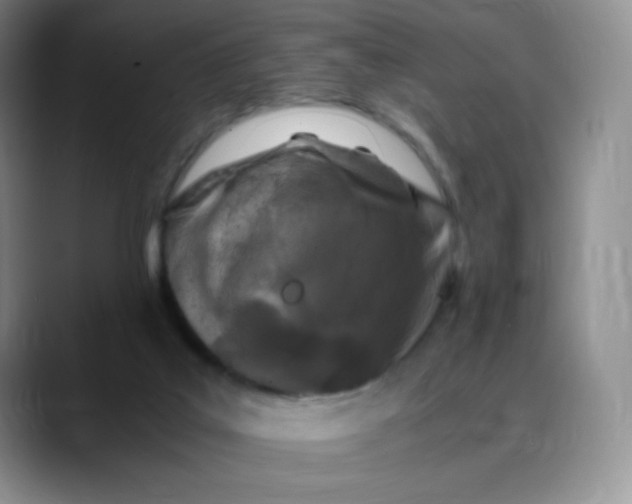 X0000088700019200706141438