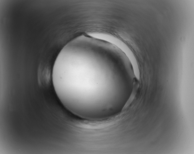 X0000088700021200706141438