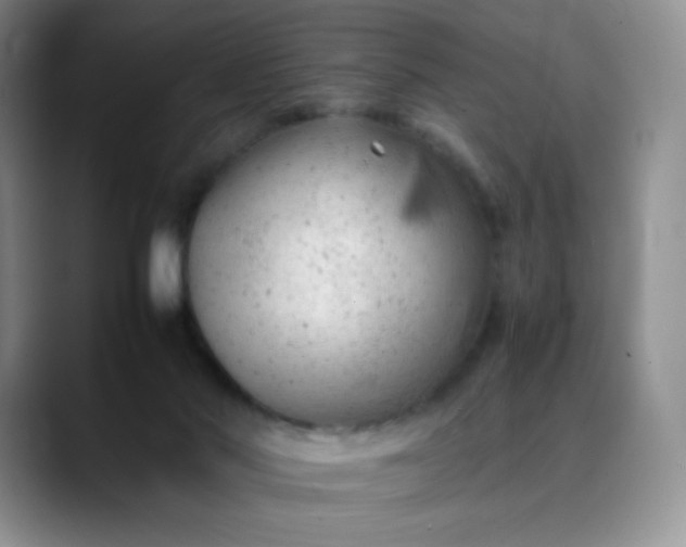 X0000088700022200706141438