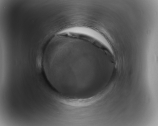 X0000088700023200706141438