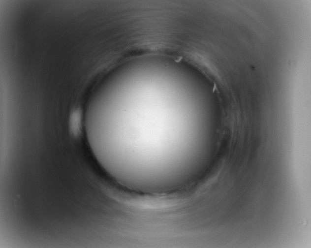 X0000088700024200706141438
