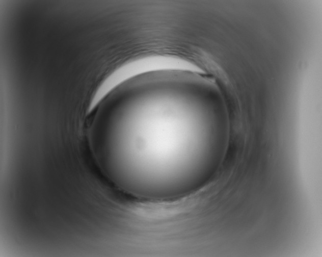 X0000088700025200706141438