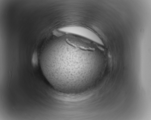 X0000088700026200706141438