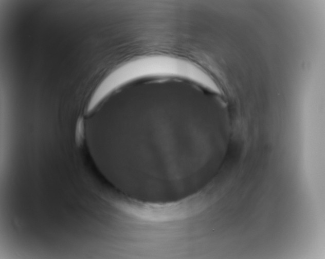 X0000088700027200706141438