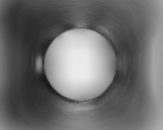 X0000088700028200706141438