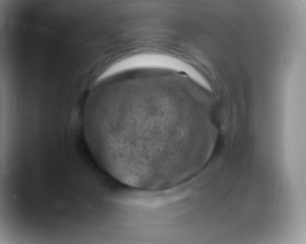 X0000088700029200706141438
