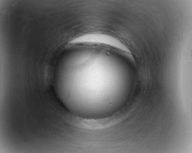 X0000088700030200706141438
