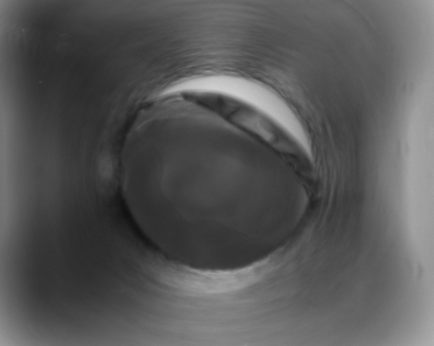 X0000088700031200706141438