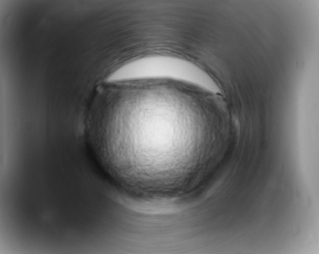 X0000088700032200706141438