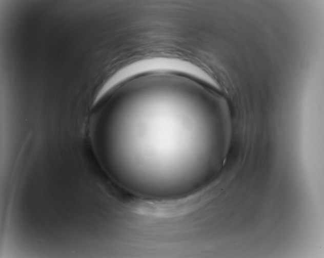 X0000088700033200706141438