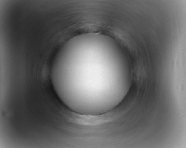 X0000088700034200706141438