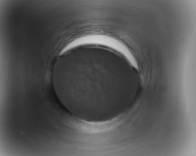X0000088700035200706141438