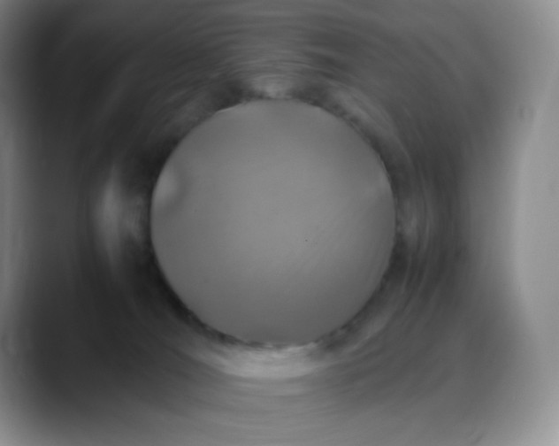 X0000088700036200706141438