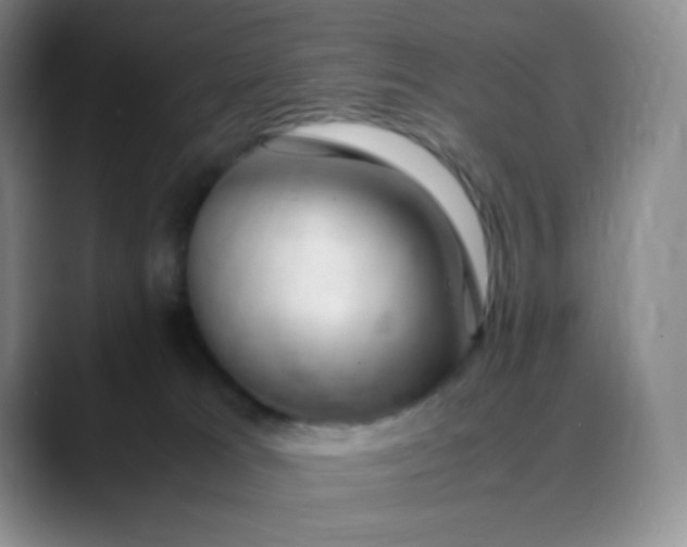 X0000088700037200706141438