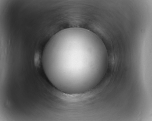 X0000088700038200706141438