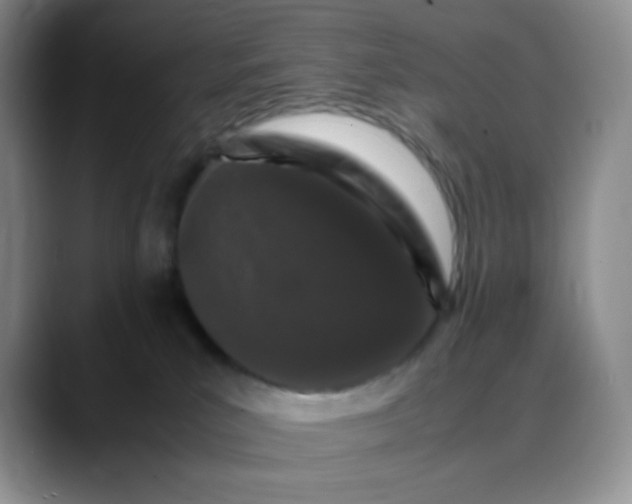 X0000088700039200706141438