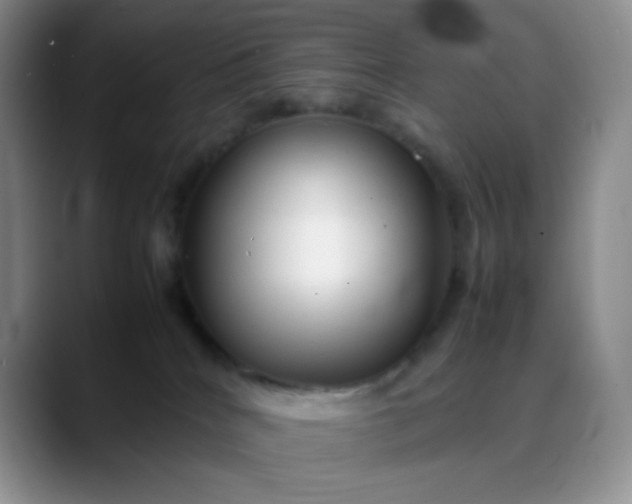 X0000088700040200706141438