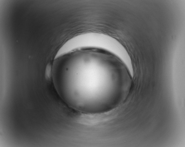 X0000088700041200706141438