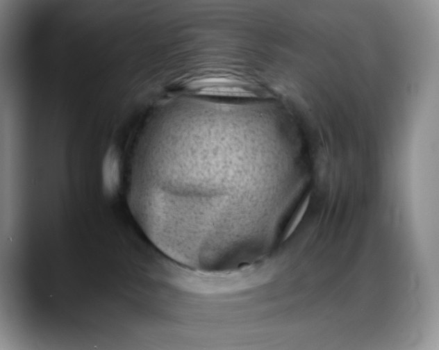 X0000088700042200706141438