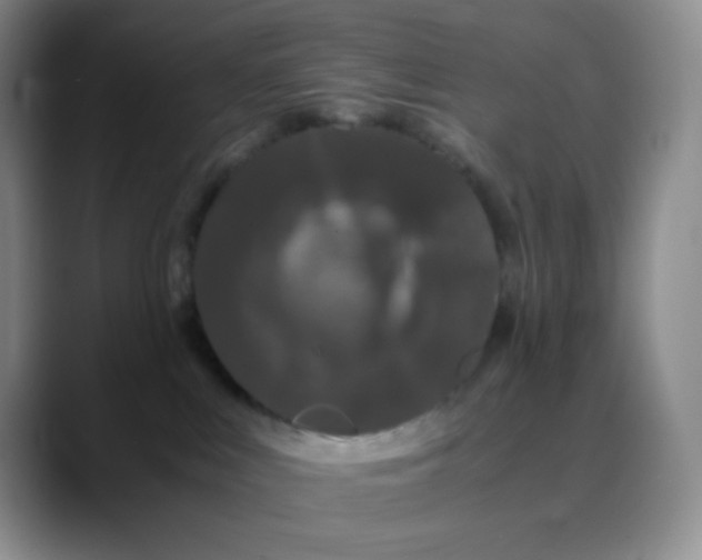 X0000088700043200706141438
