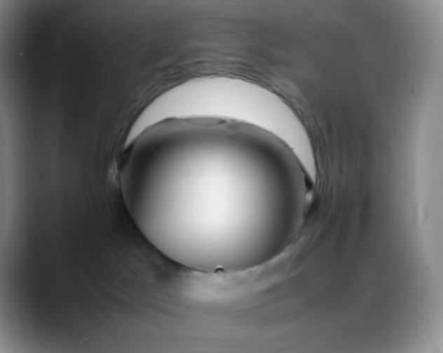 X0000088700045200706141438