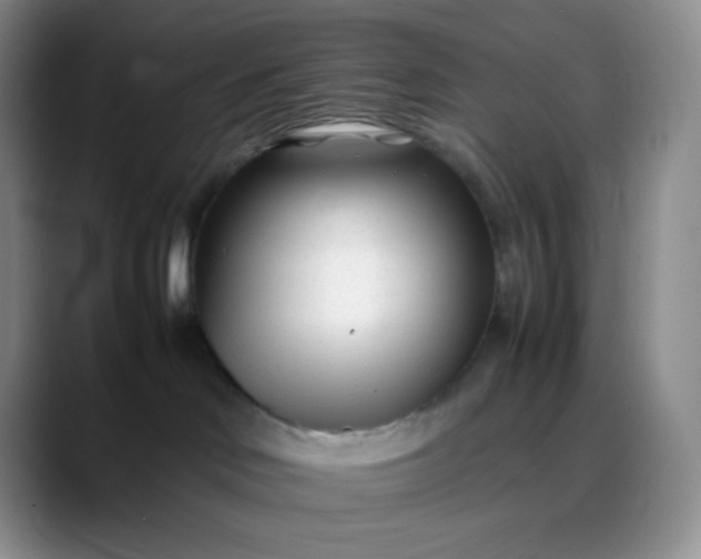 X0000088700046200706141438