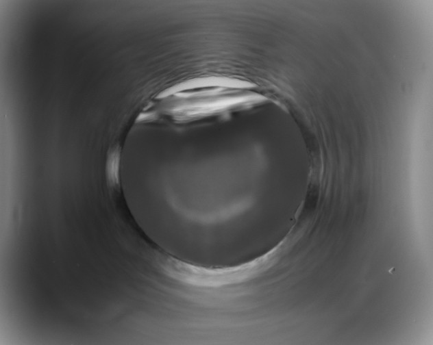 X0000088700047200706141438