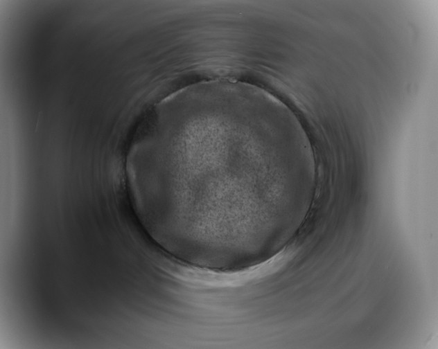 X0000088700048200706141438
