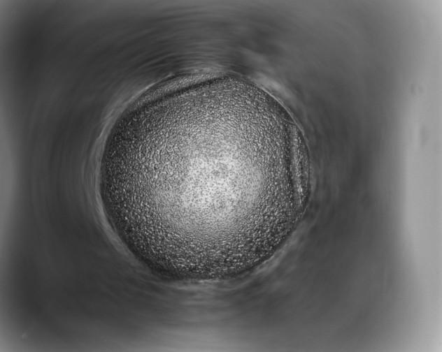 X0000088700049200706141437