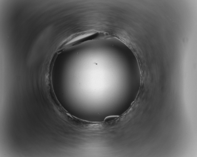 X0000088700050200706141437