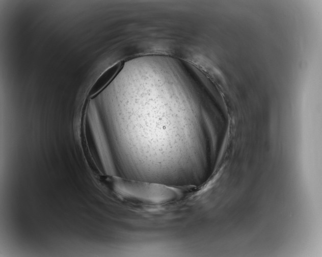 X0000088700051200706141437