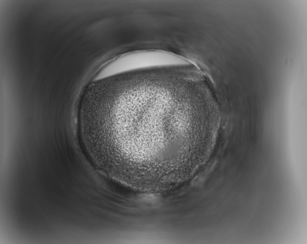 X0000088700053200706141437