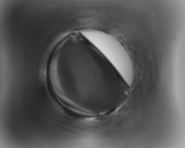X0000088700054200706141437